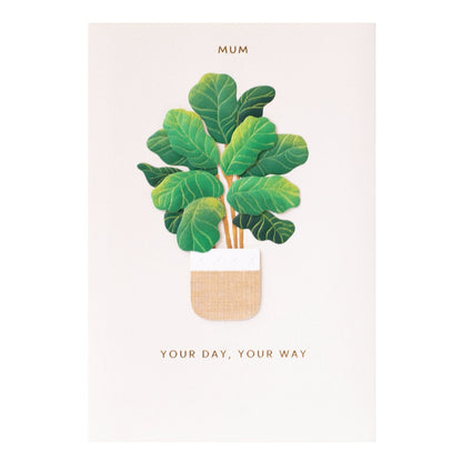 Hallmark Signature Birthday Card For Mum - Your Day, Your Way featuring a fiddle leaf fig illustration, gold foil highlights and embossed elements.