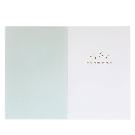 Hallmark Signature Birthday Card For Son - Dog & Balloons, inside view featuring a pastel green lining and gold foil text saying 'Have the best birthday'.