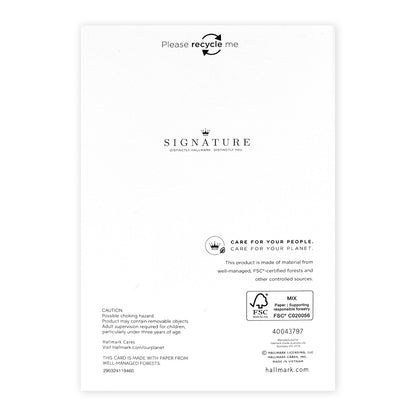 Hallmark Signature Love Celebration Card - Believe In Love