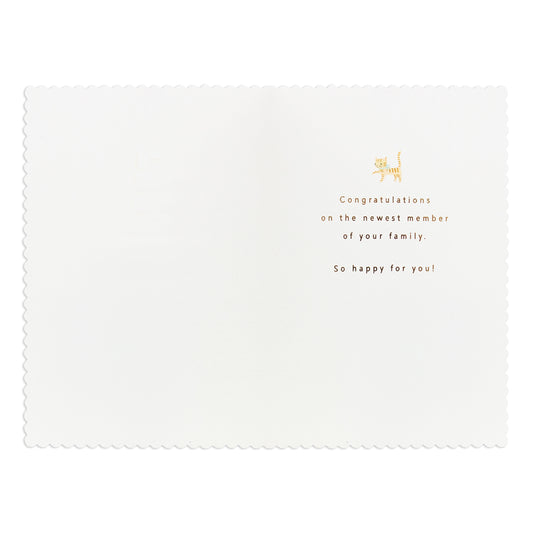 Hallmark Signature New Baby Congratulations Card - Alphabet