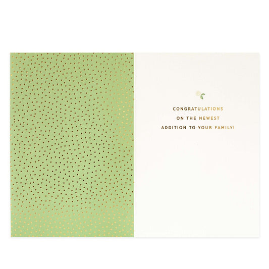 Hallmark Signature New Baby Congratulations Card - Oh Baby!