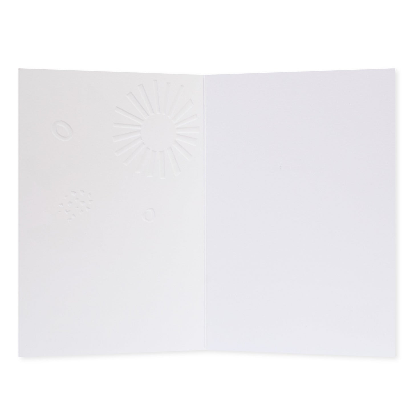 Halcyon by Hallmark All Occasion Card – Vase of Flowers, blank interior with embossed design detail, textured stock.