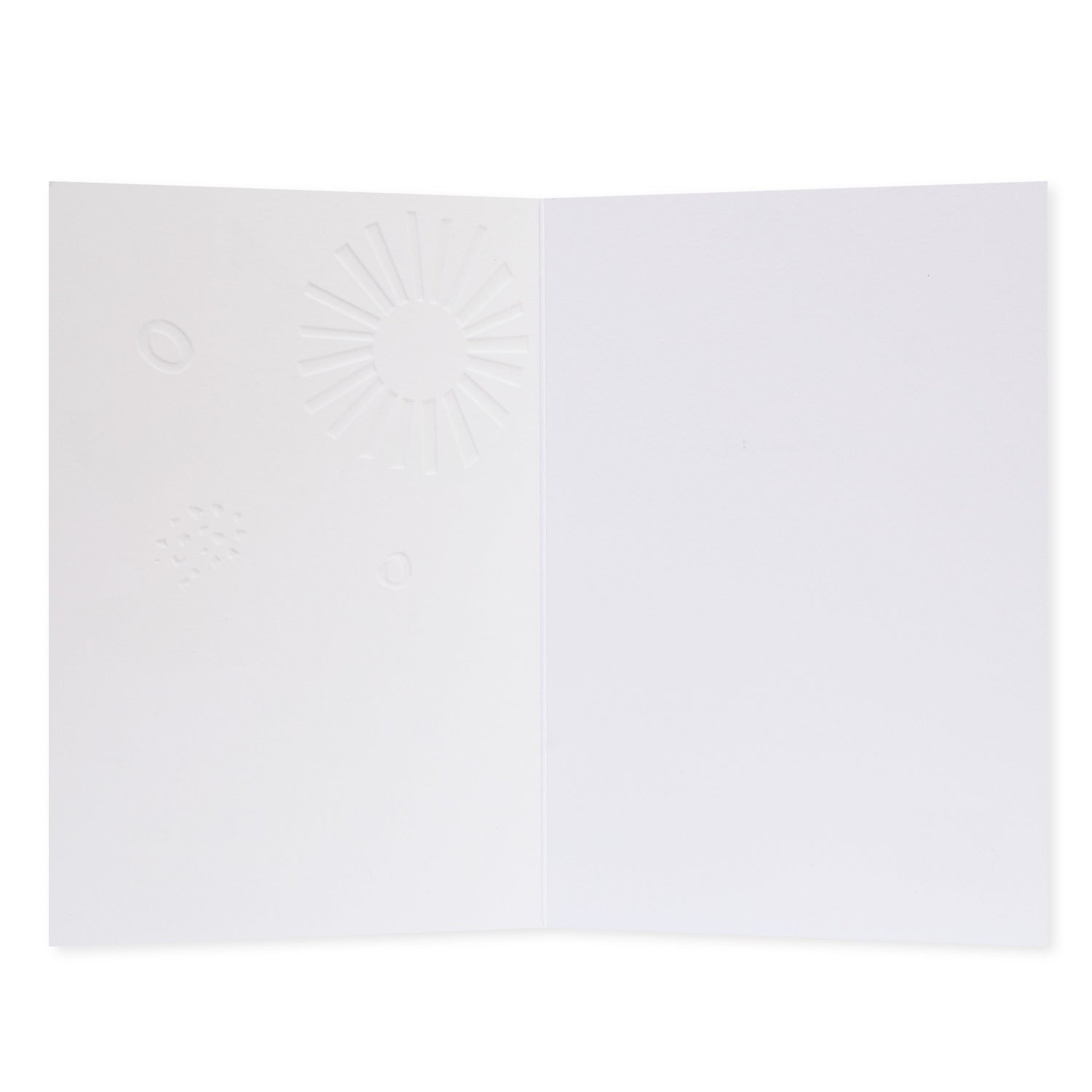 Halcyon by Hallmark All Occasion Card – Vase of Flowers, blank interior with embossed design detail, textured stock.