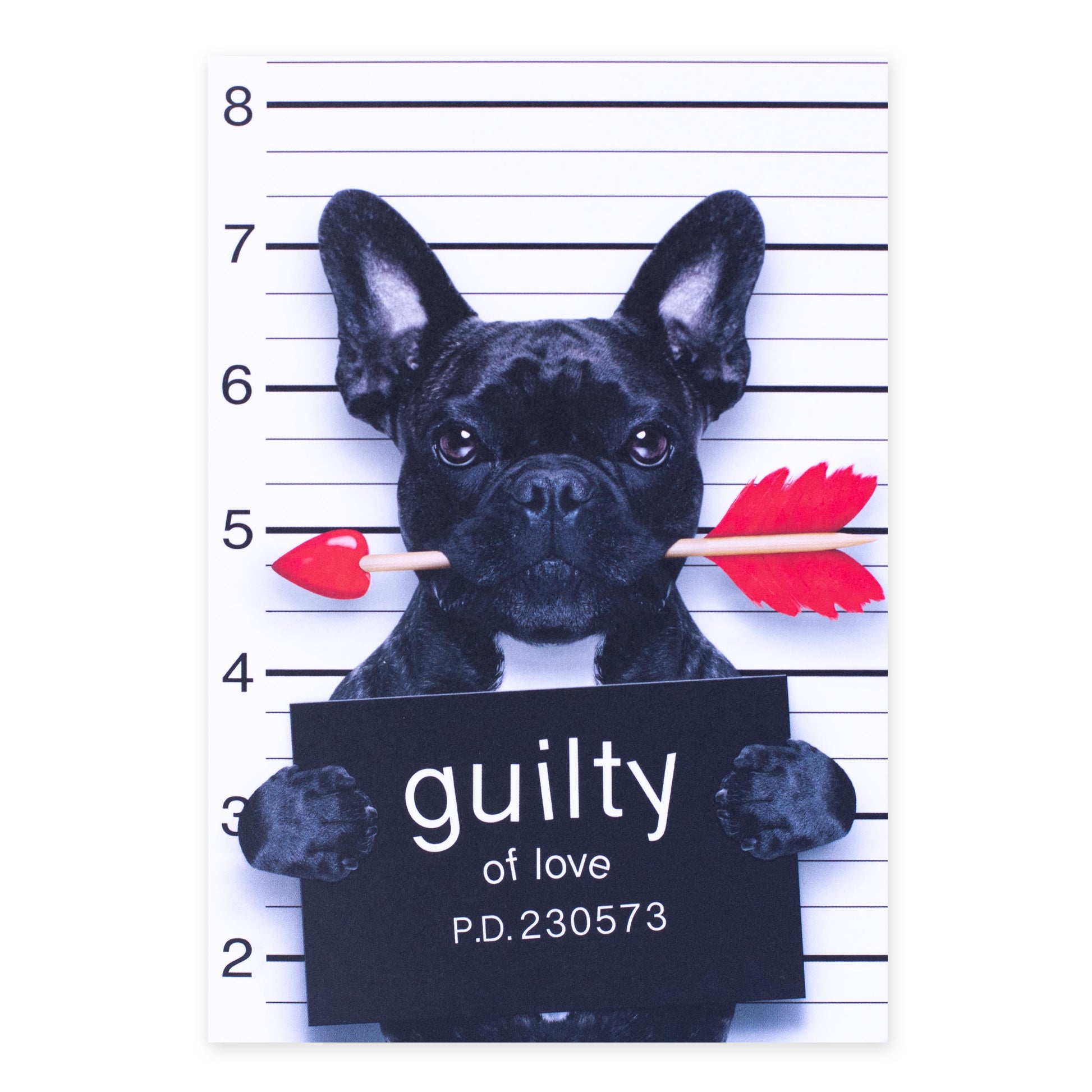 Hallmark Love Card - Guilty of Love featuring a black French Bulldog holding a love arrow in its mouth against a height chart backdrop.
