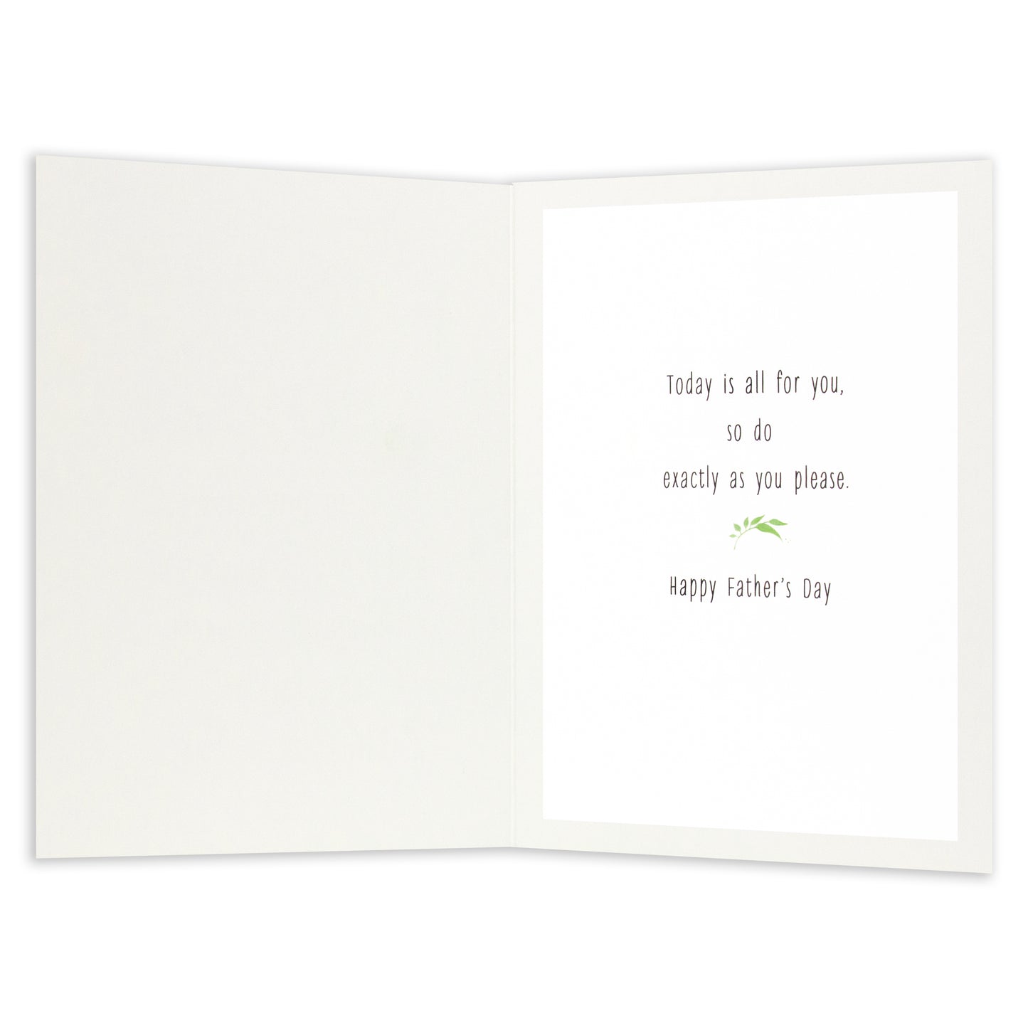 Hallmark Father's Day Card - Gardening Goodies interior design featuring a heartfelt message and green illustration, flat lay view.