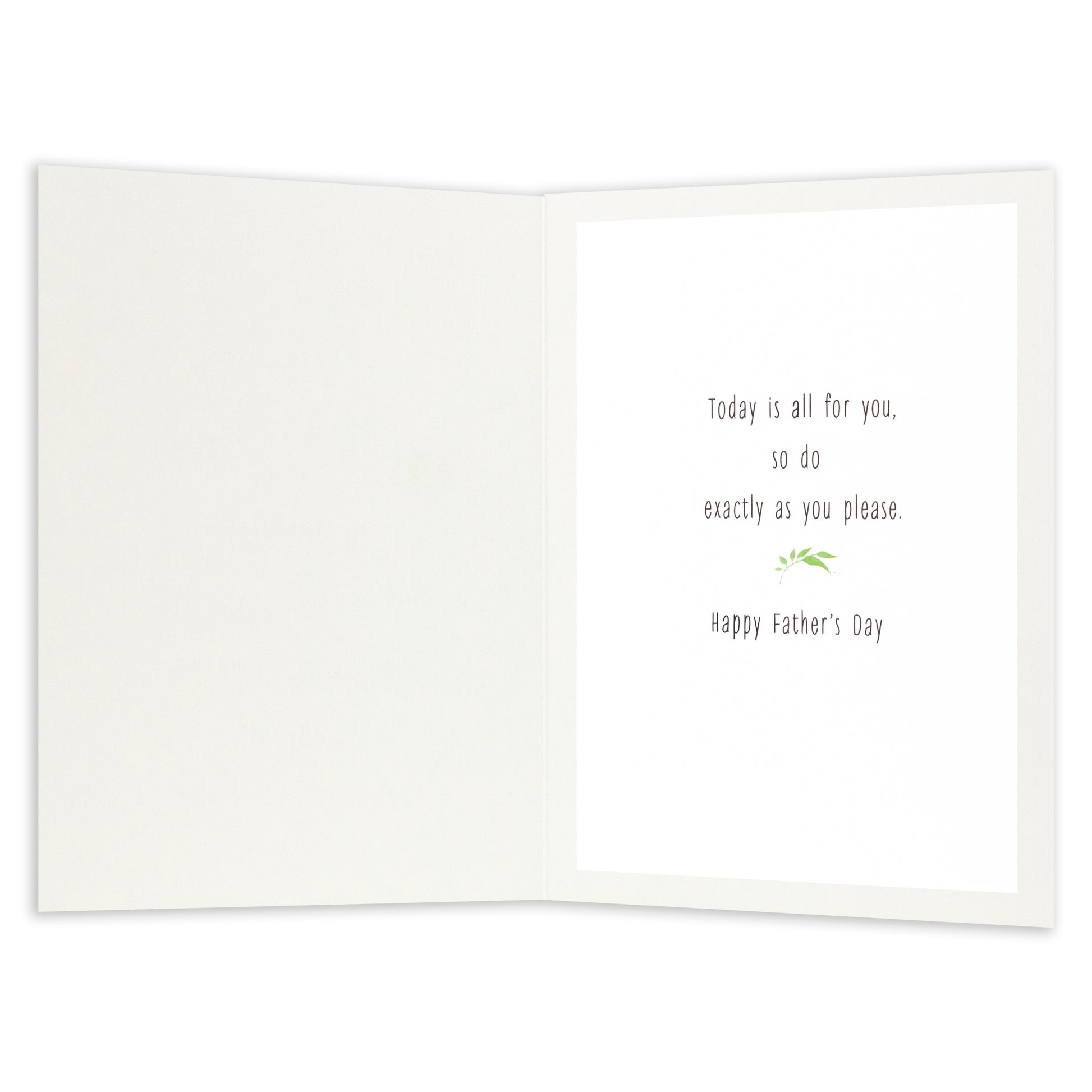 Hallmark Father's Day Card - Gardening Goodies interior design featuring a heartfelt message and green illustration, flat lay view.