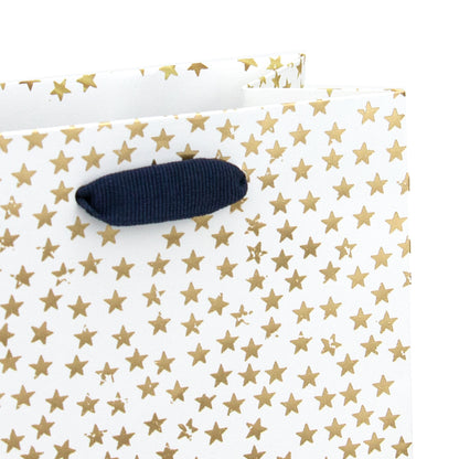 Hallmark Bottle Gift Bag - Tiny Shining Stars