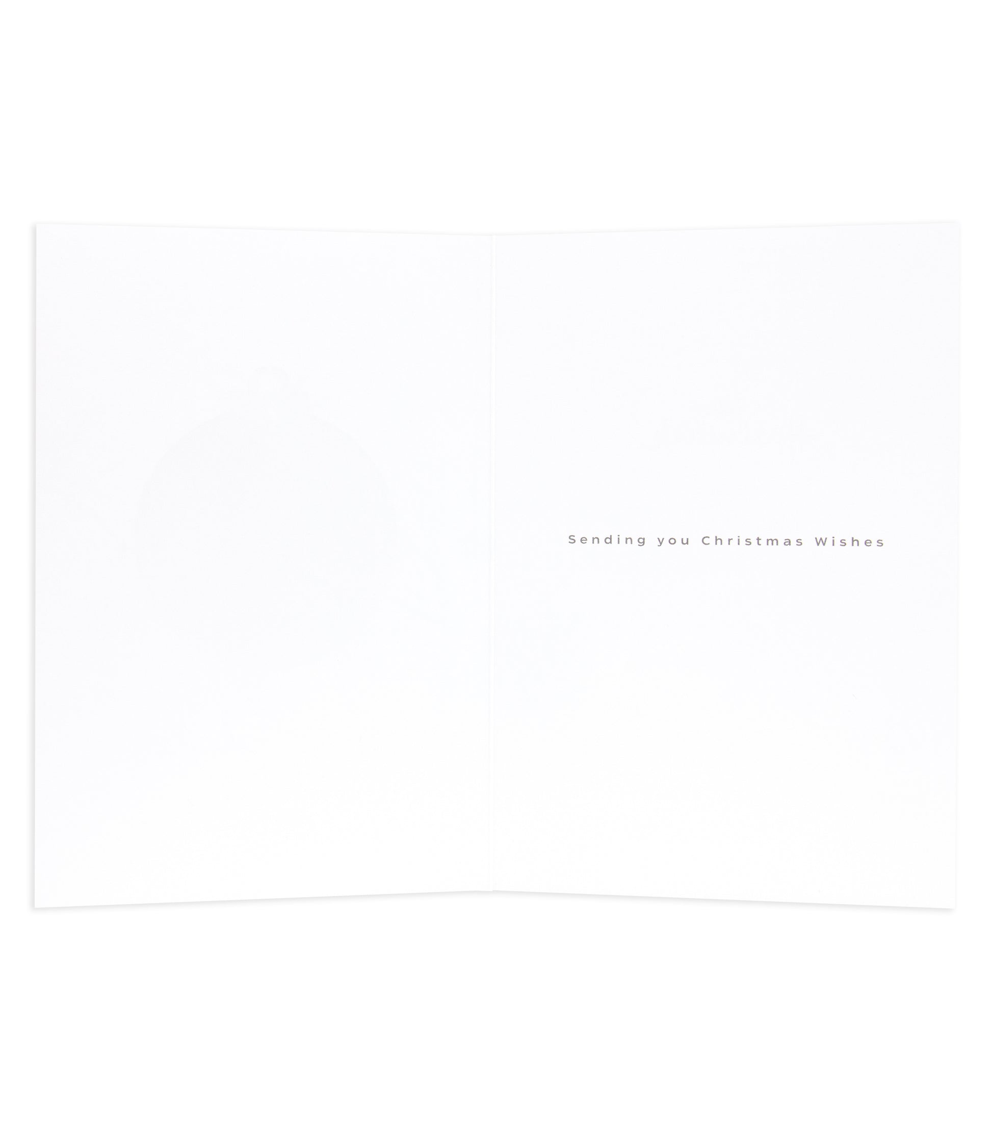 Merry Xmas Deck Classic Reg greeting card, blank interior with elegant text, sending you Christmas wishes.