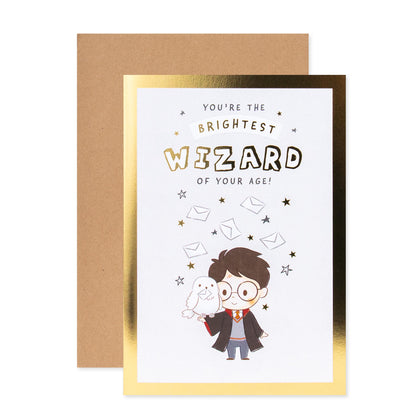 Connections from Hallmark Birthday Card - Harry Potter, gold foil accents, featuring Harry and Hedwig in a Kraft Envelope, flat lay.