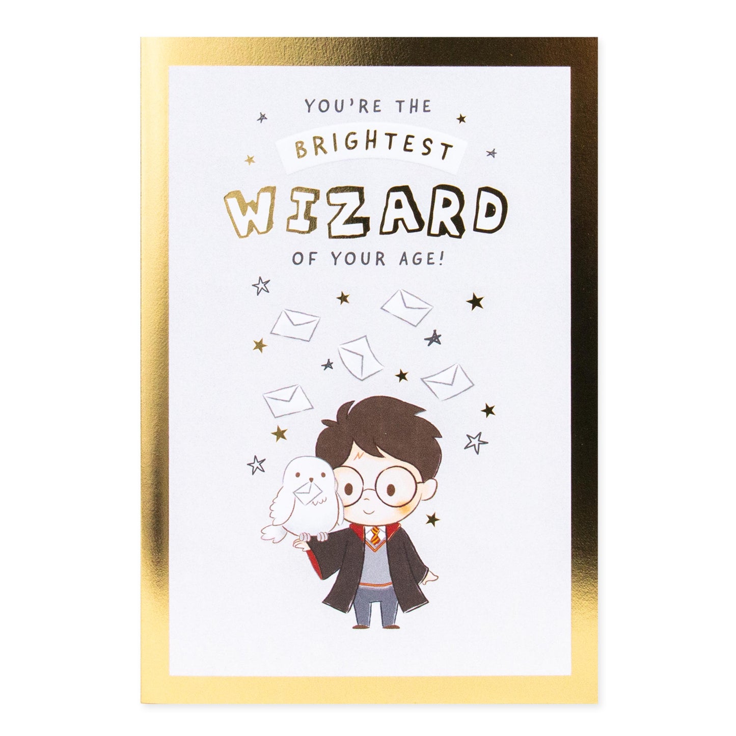 Connections from Hallmark Birthday Card - Harry Potter featuring Harry and Hedwig with golden accents and birthday message.