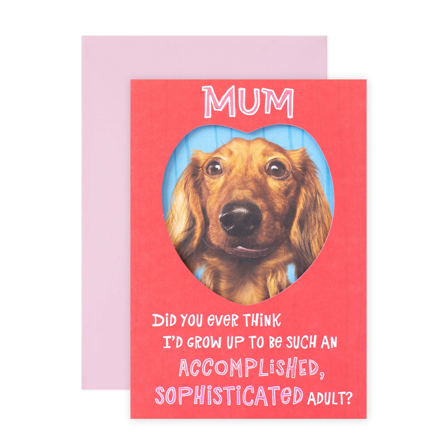 Hallmark Mother's Day Card - Growing Up featuring a Dachshund dog photo on the front, with pink envelope, flat lay view.
