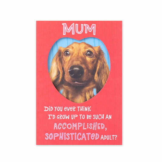 Hallmark Mother's Day Card - Growing Up features a Dachshund dog with a humorous message on a vibrant red background.