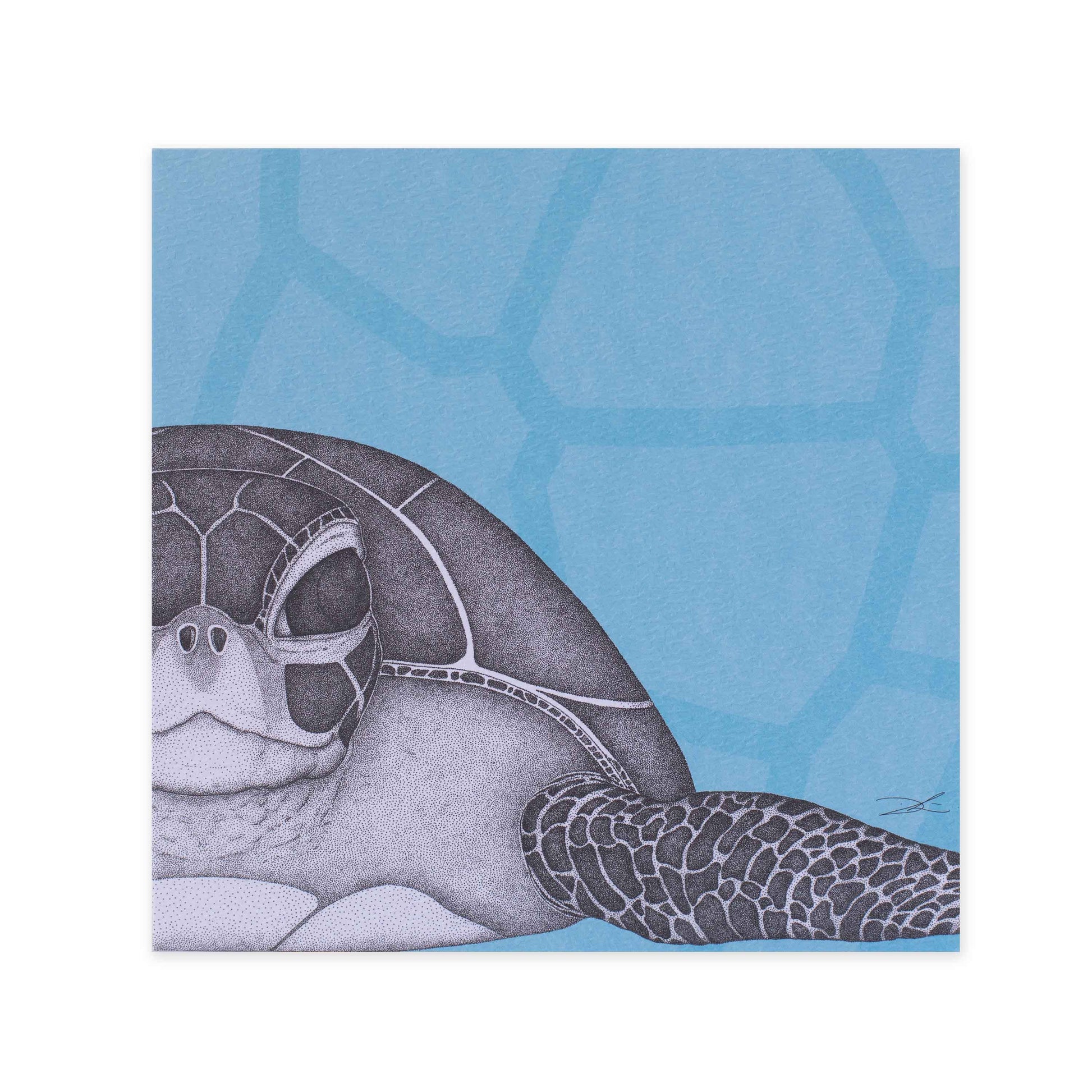 Hallmark x Dots by Donna Gallery Blank Greeting Card - Susan The Sea Turtle features a detailed sea turtle illustration against a blue background.