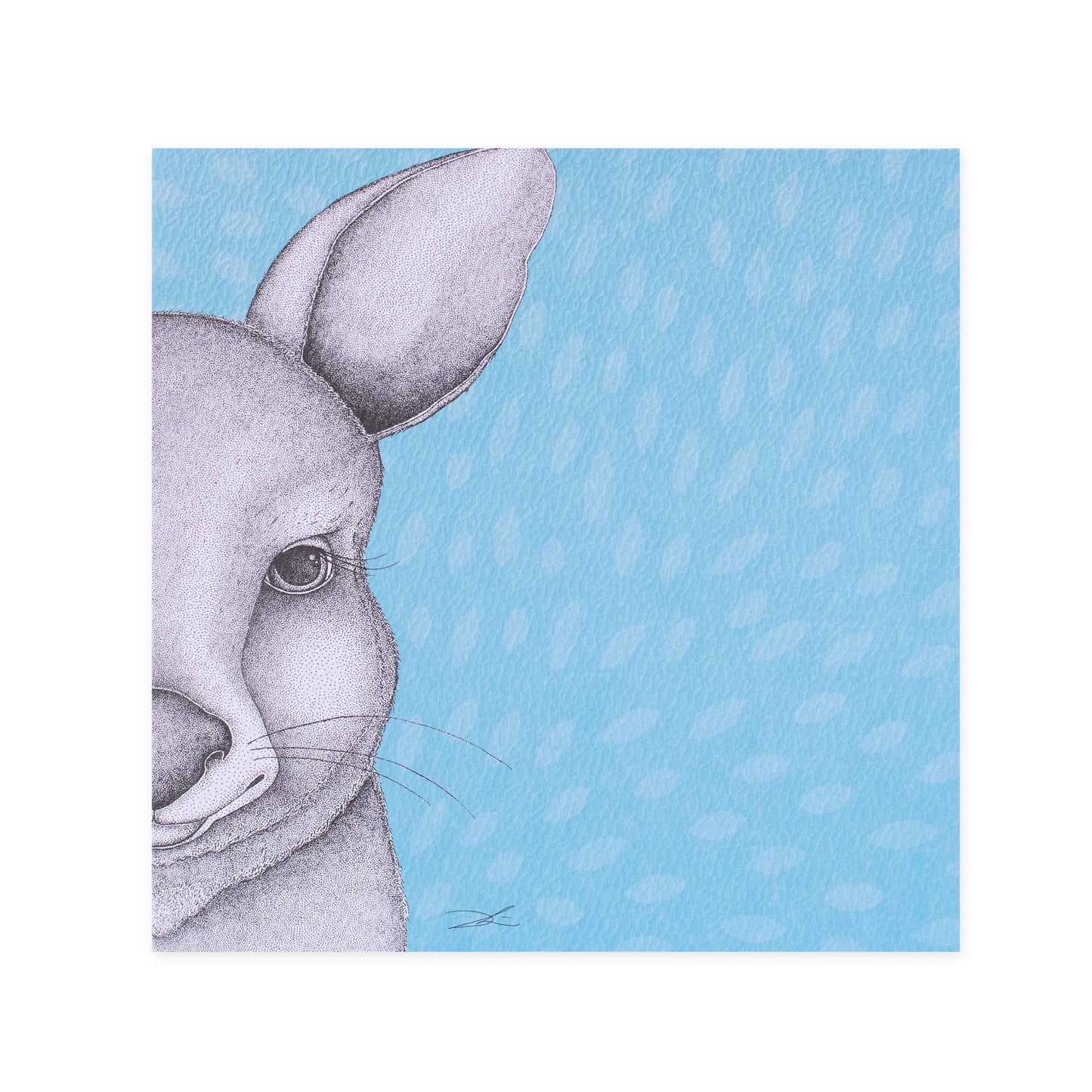 Hallmark x Dots by Donna Gallery Blank Greeting Card - Jasmine The Joey with a close-up illustration of a grey joey on light blue background.