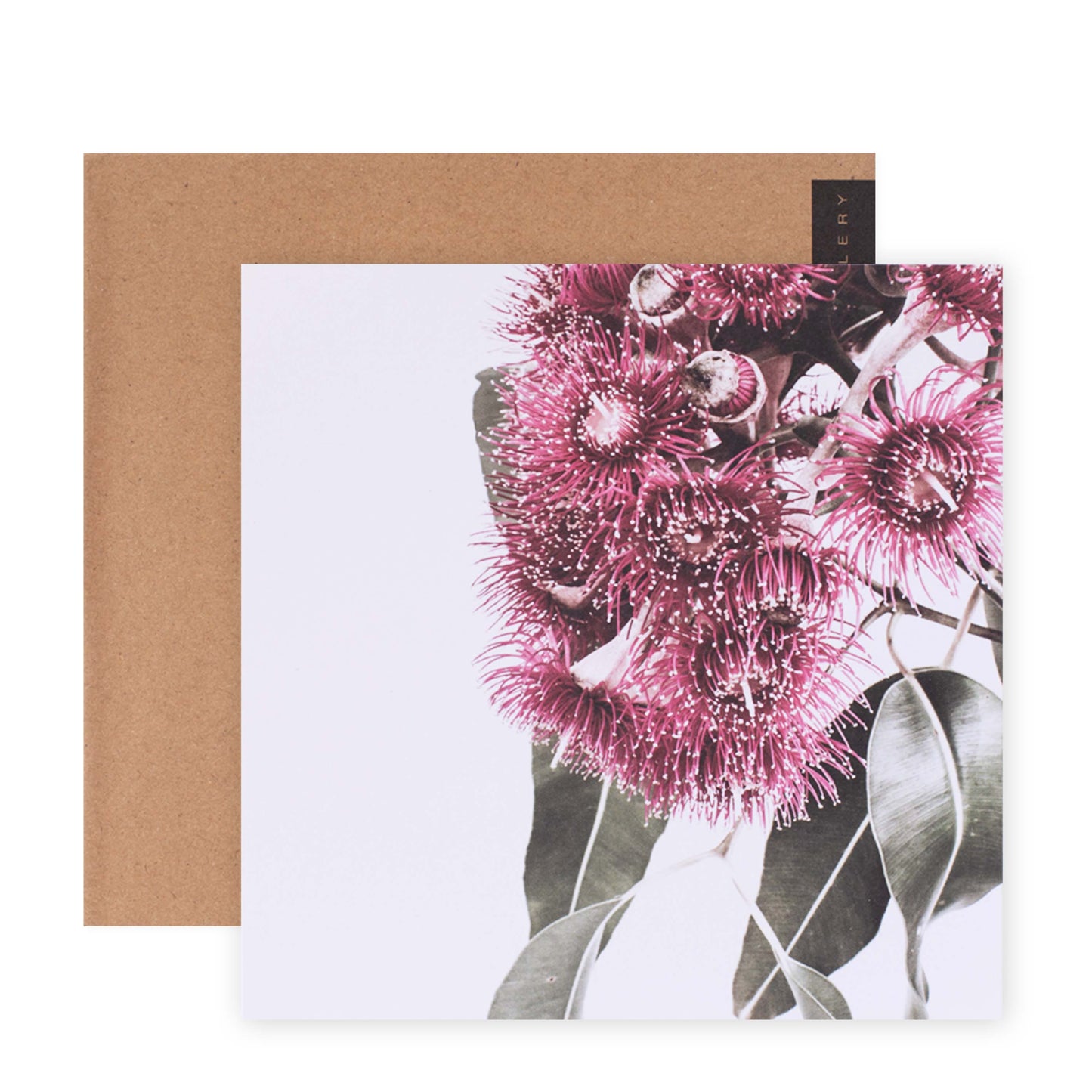 Hallmark x Donna Delaney Gallery Blank Greeting Card - Tiny Pink Fireworks with a kraft envelope, featuring vibrant pink floral photography.