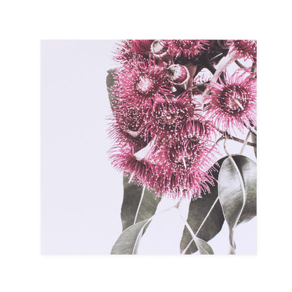 Hallmark x Donna Delaney Gallery Blank Greeting Card - Tiny Pink Fireworks, featuring vivid pink floral design on white background.