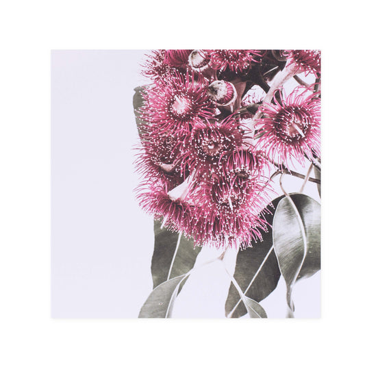 Hallmark x Donna Delaney Gallery Blank Greeting Card - Tiny Pink Fireworks