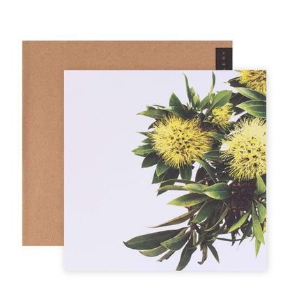 Hallmark x Donna Delaney Gallery Blank Greeting Card - Expo Gold featuring vibrant yellow floral design and brown kraft envelope, flat lay view.