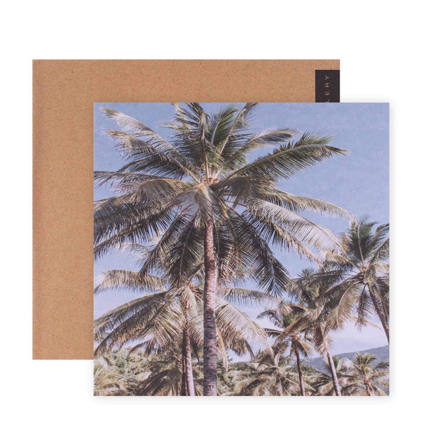 Hallmark x Donna Delaney Gallery Blank Greeting Card - Vintage Palms featuring vibrant palm trees, square card with kraft envelope, close up view.