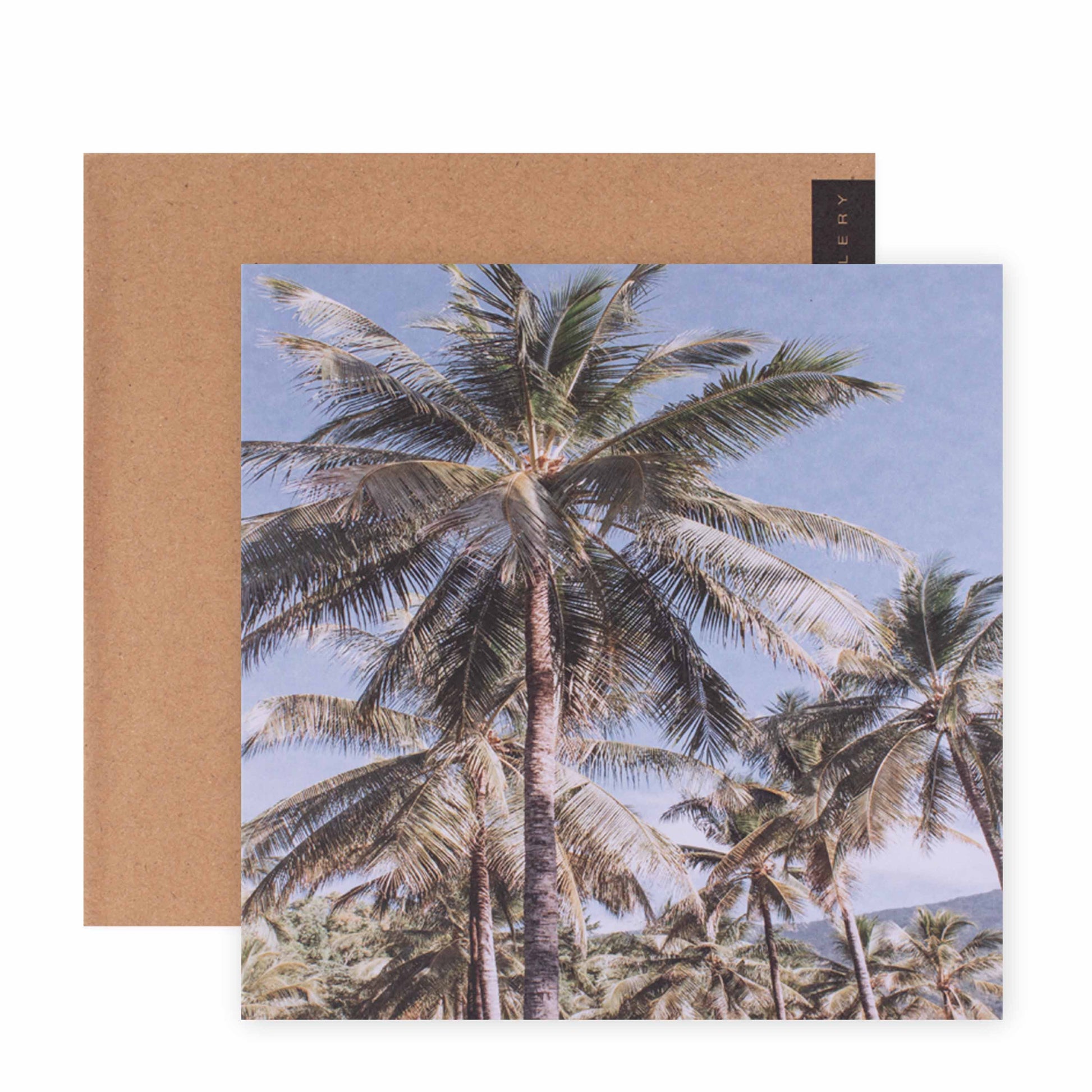 Hallmark x Donna Delaney Gallery Blank Greeting Card - Vintage Palms featuring vibrant palm trees, square card with kraft envelope, close up view.