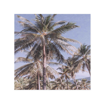 Hallmark x Donna Delaney Gallery Blank Greeting Card - Vintage Palms featuring tall palm trees under a blue sky in soft focus.