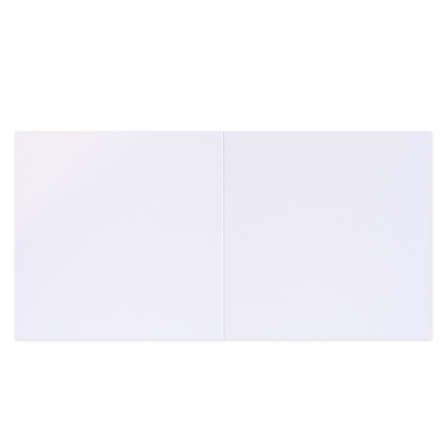 Hallmark x Christie Williams Gallery Blank Greeting Card - Just For You, open view, blank interior for personal messages.