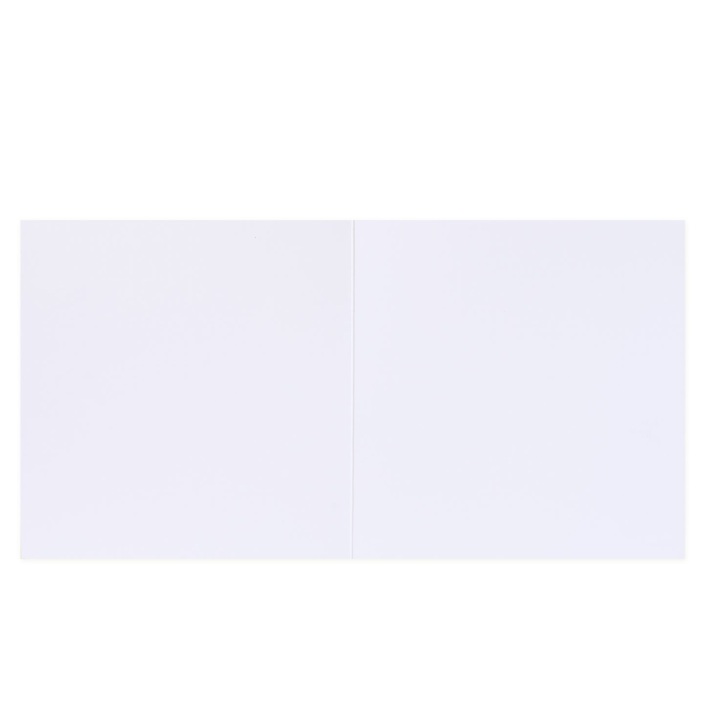 Hallmark x Christie Williams Gallery Blank Greeting Card - Love You