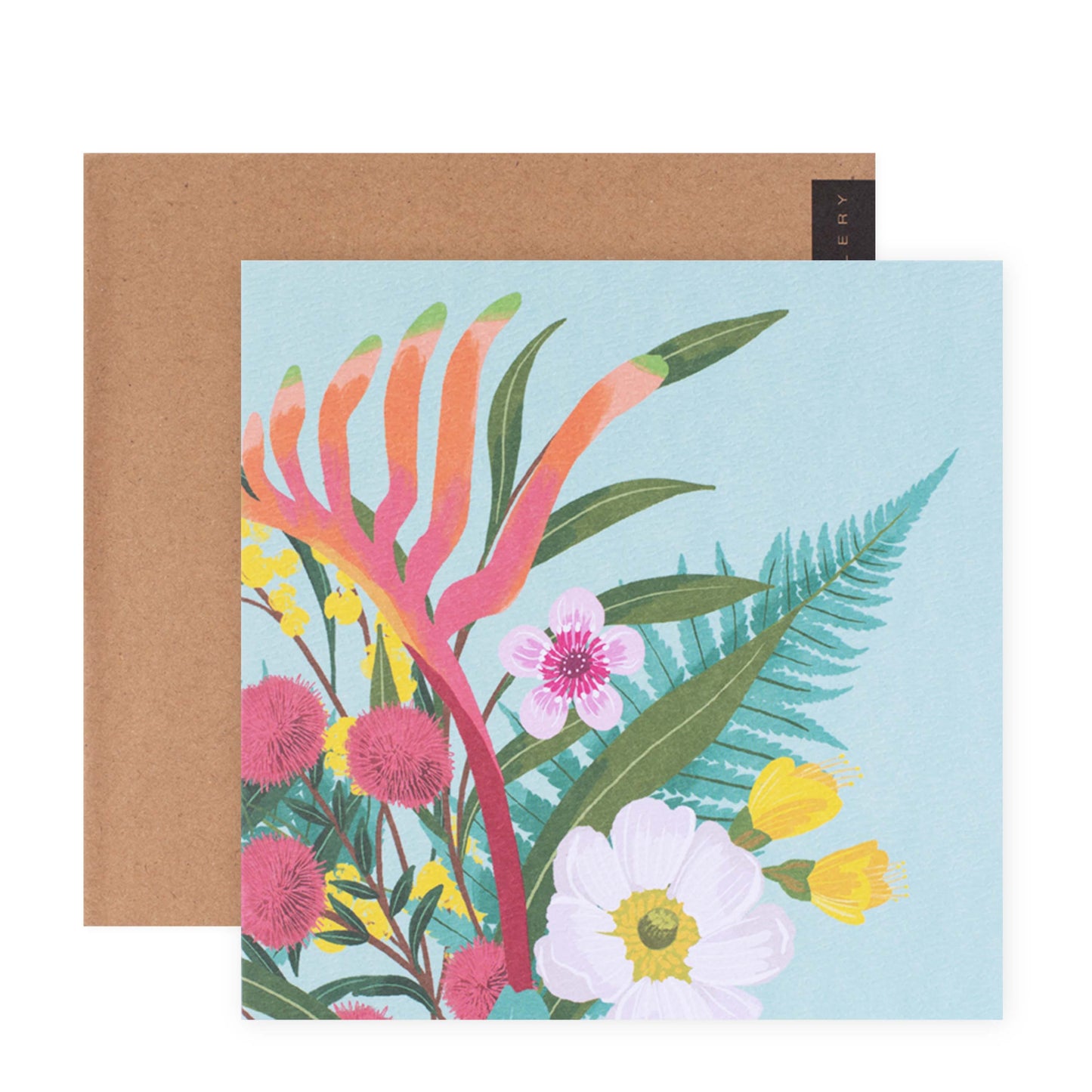 Hallmark x Christie Williams Gallery Blank Greeting Card - Kangaroo Paw Spray
