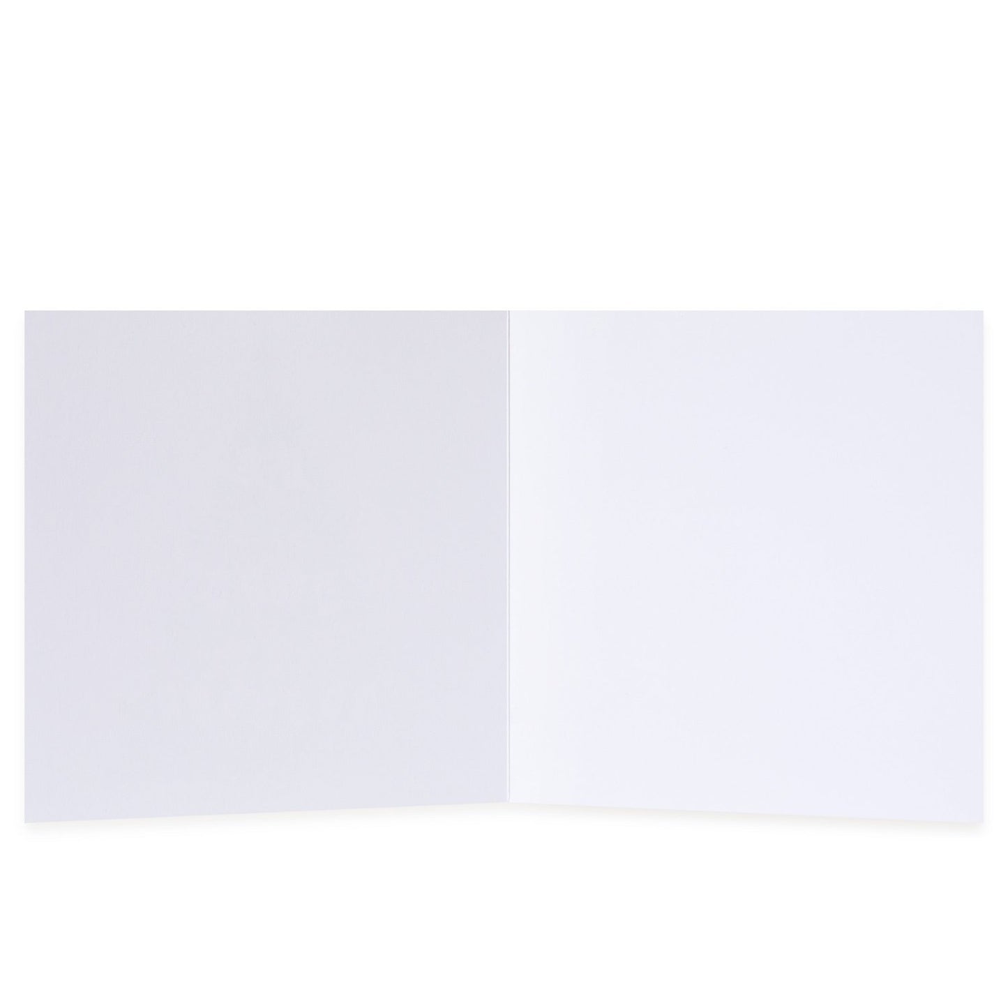 Hallmark 10 Pack Boxed Charity Christmas Cards - 12 Days Of Christmas