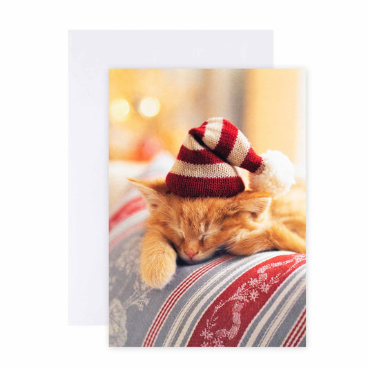 Hallmark 10 Pack Boxed Charity Christmas Cards - Purrfect Christmas