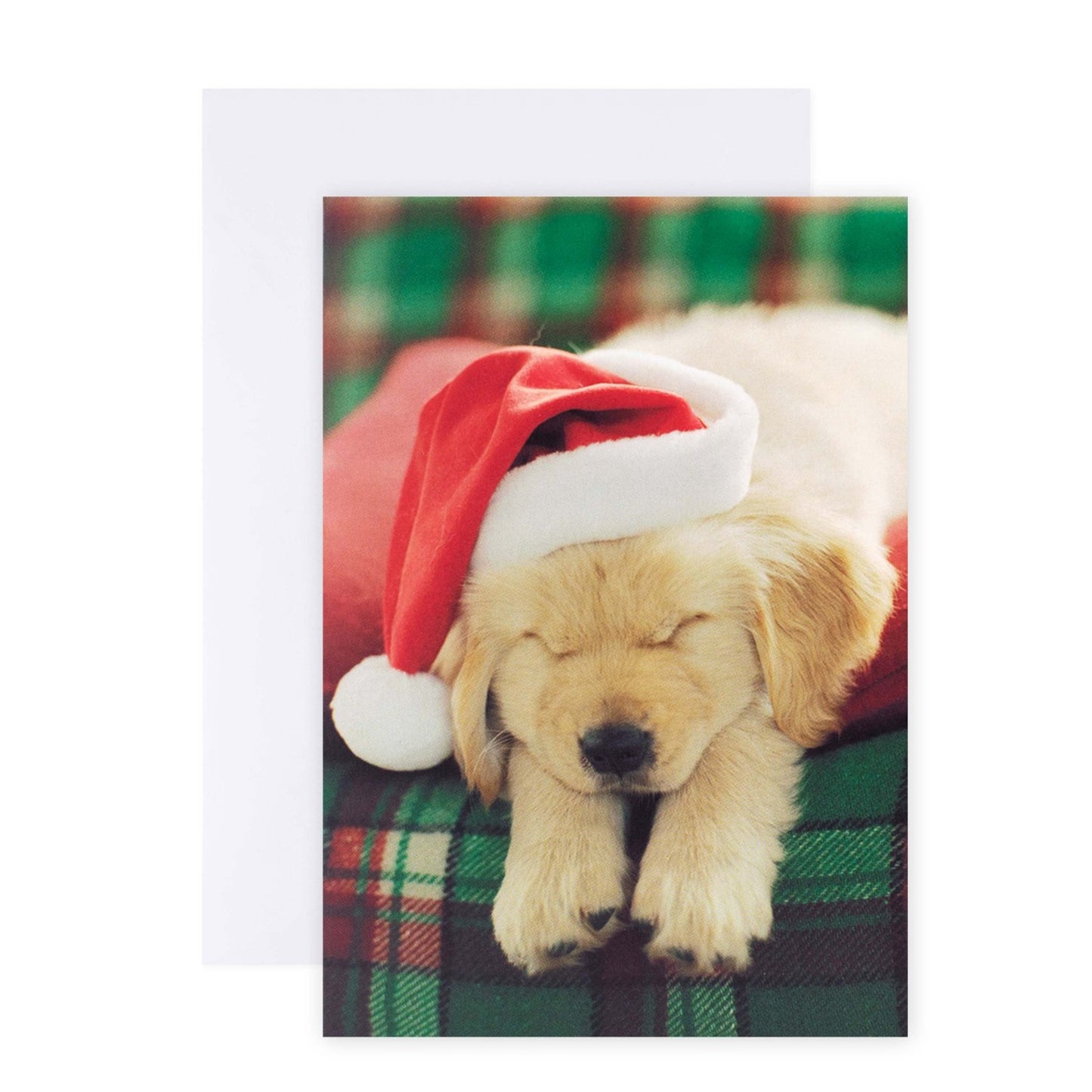 Hallmark 10 Pack Boxed Charity Christmas Cards - Pawesome Christmas