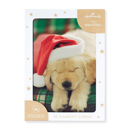 Hallmark 10 Pack Boxed Charity Christmas Cards - Pawesome Christmas