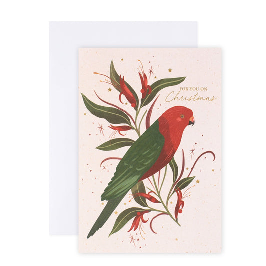 Hallmark x Christie Williams 10 Pack Boxed Charity Christmas Cards - Australian King-Parrot