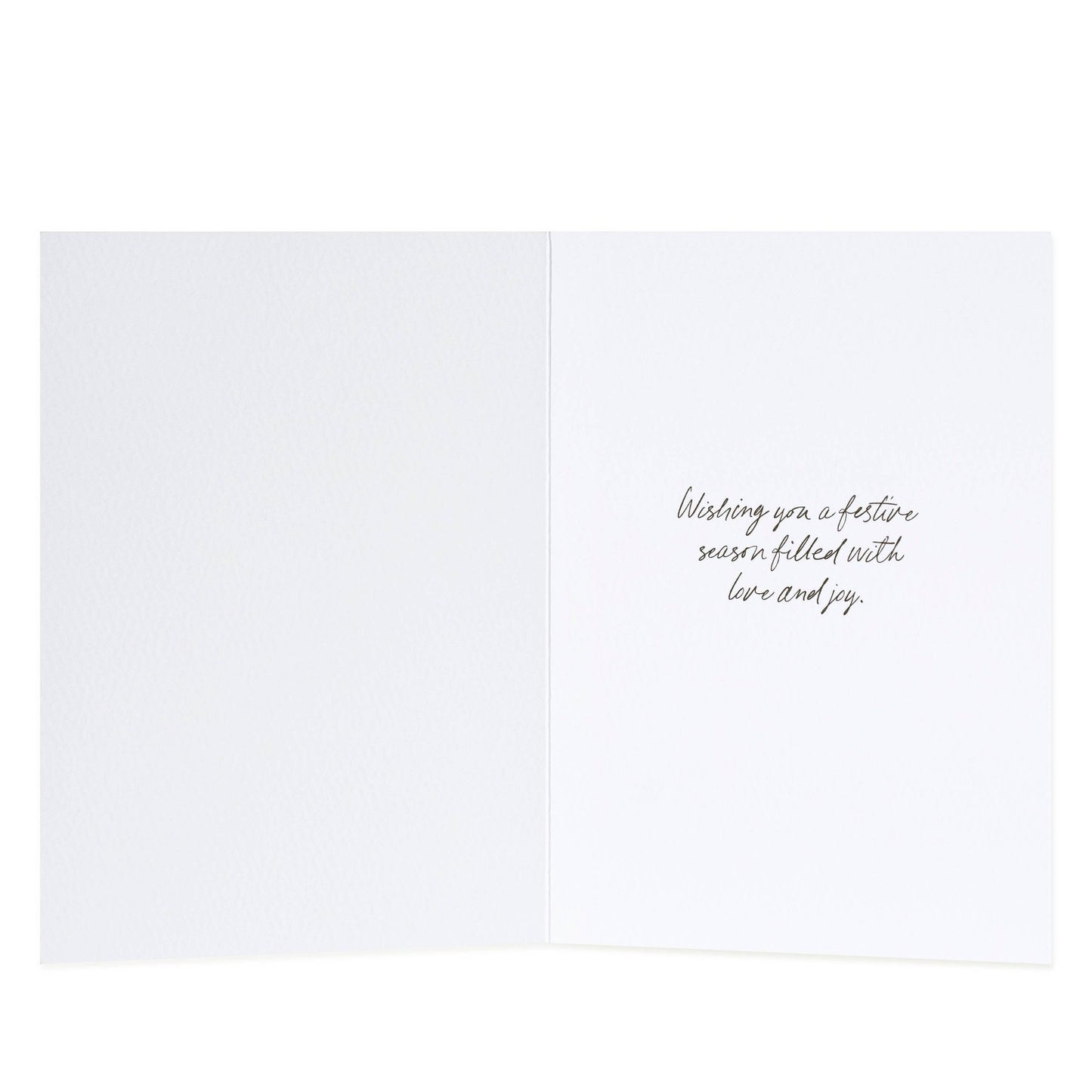 Hallmark x Christie Williams 10 Pack Boxed Charity Christmas Cards - Platypus & Flora