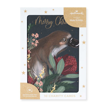 Hallmark x Christie Williams 10 Pack Boxed Charity Christmas Cards - Platypus & Flora