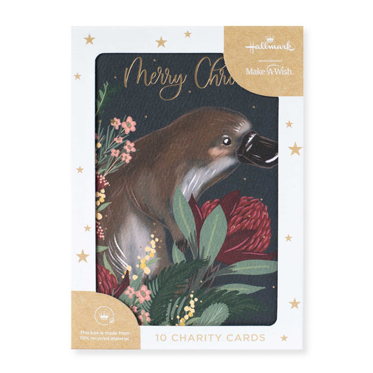 Hallmark x Christie Williams 10 Pack Boxed Charity Christmas Cards - Platypus & Flora