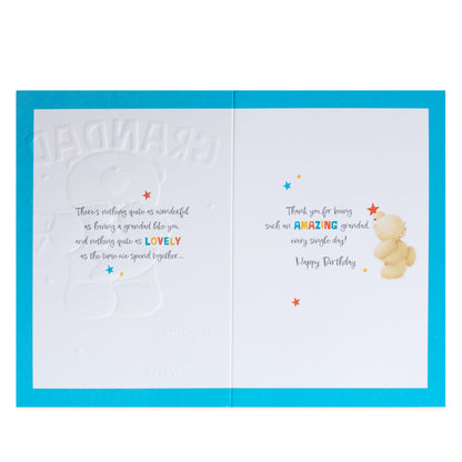 Hallmark Forever Friends Birthday Card for Grandad - The Nicest