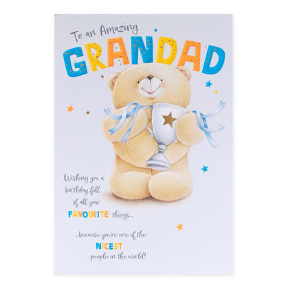 Hallmark Forever Friends Birthday Card for Grandad - The Nicest