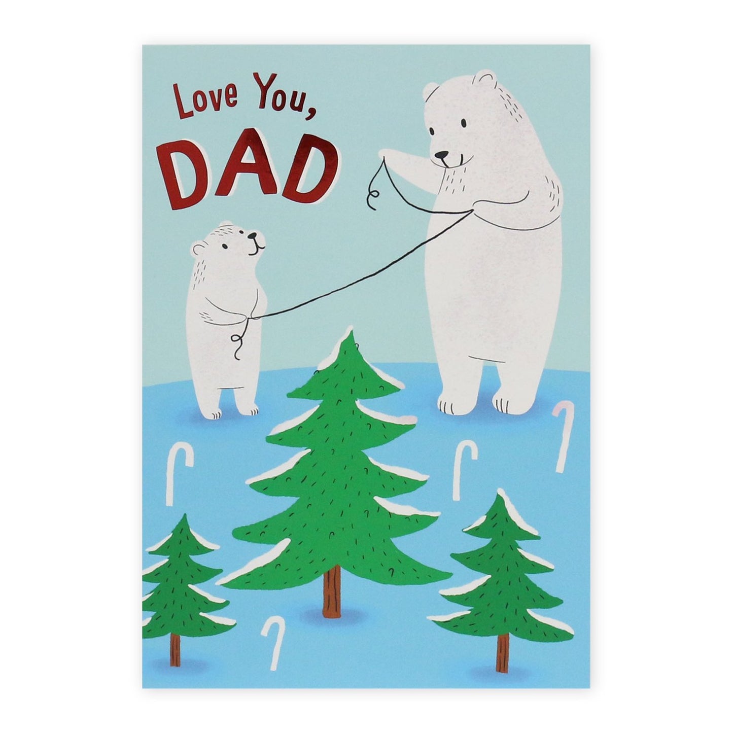 Hallmark Christmas Card For Dad - Polar Bears