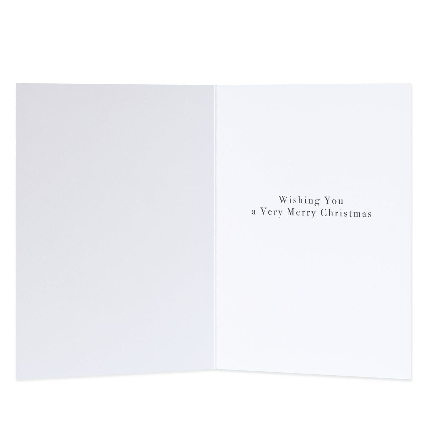 Hallmark Christmas Card - Noel