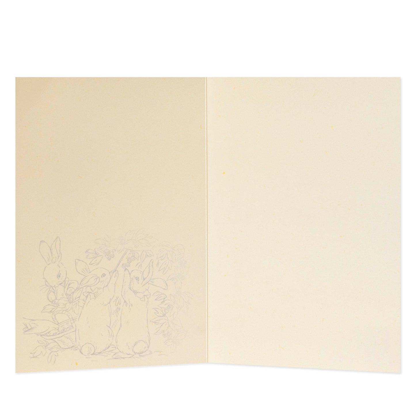 Hallmark Large Gift Bag & Card Bundle - Peter Rabbit