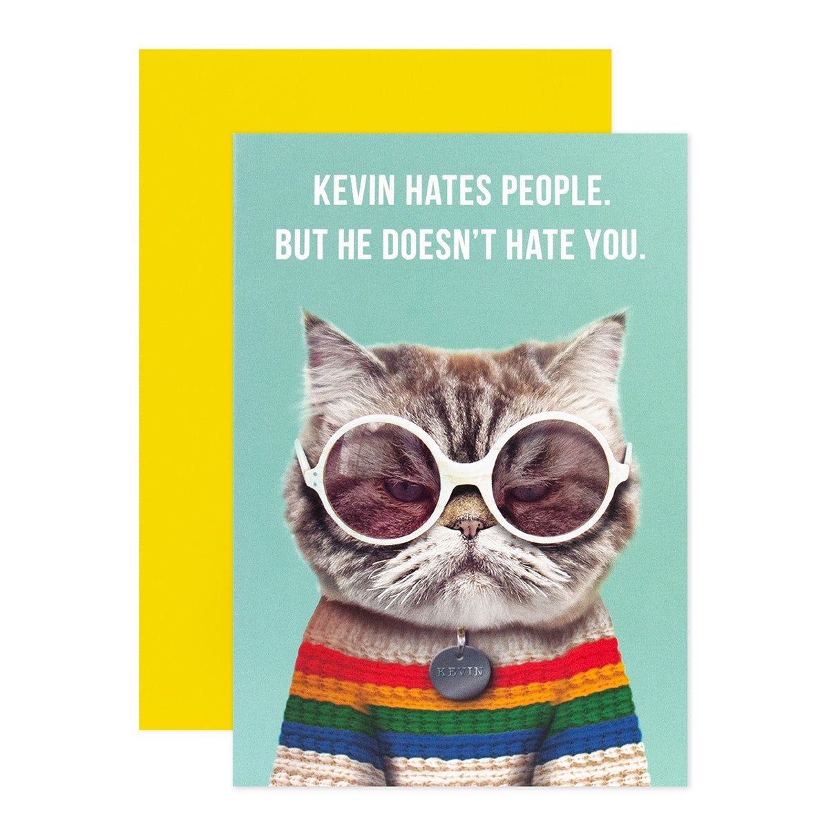 Hallmark Shoebox Greeting Card - Kevin The Cat