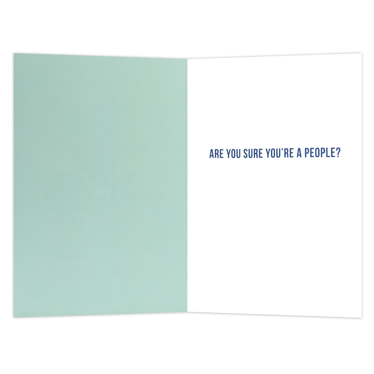 Hallmark Shoebox Greeting Card - Kevin The Cat