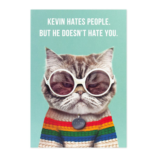 Hallmark Shoebox Greeting Card - Kevin The Cat features a grumpy cat in sunglasses and a rainbow jumper against a teal background.
