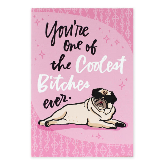 Hallmark Shoebox Birthday Card - One of the Coolest featuring a pug illustration on a pink background with playful text.