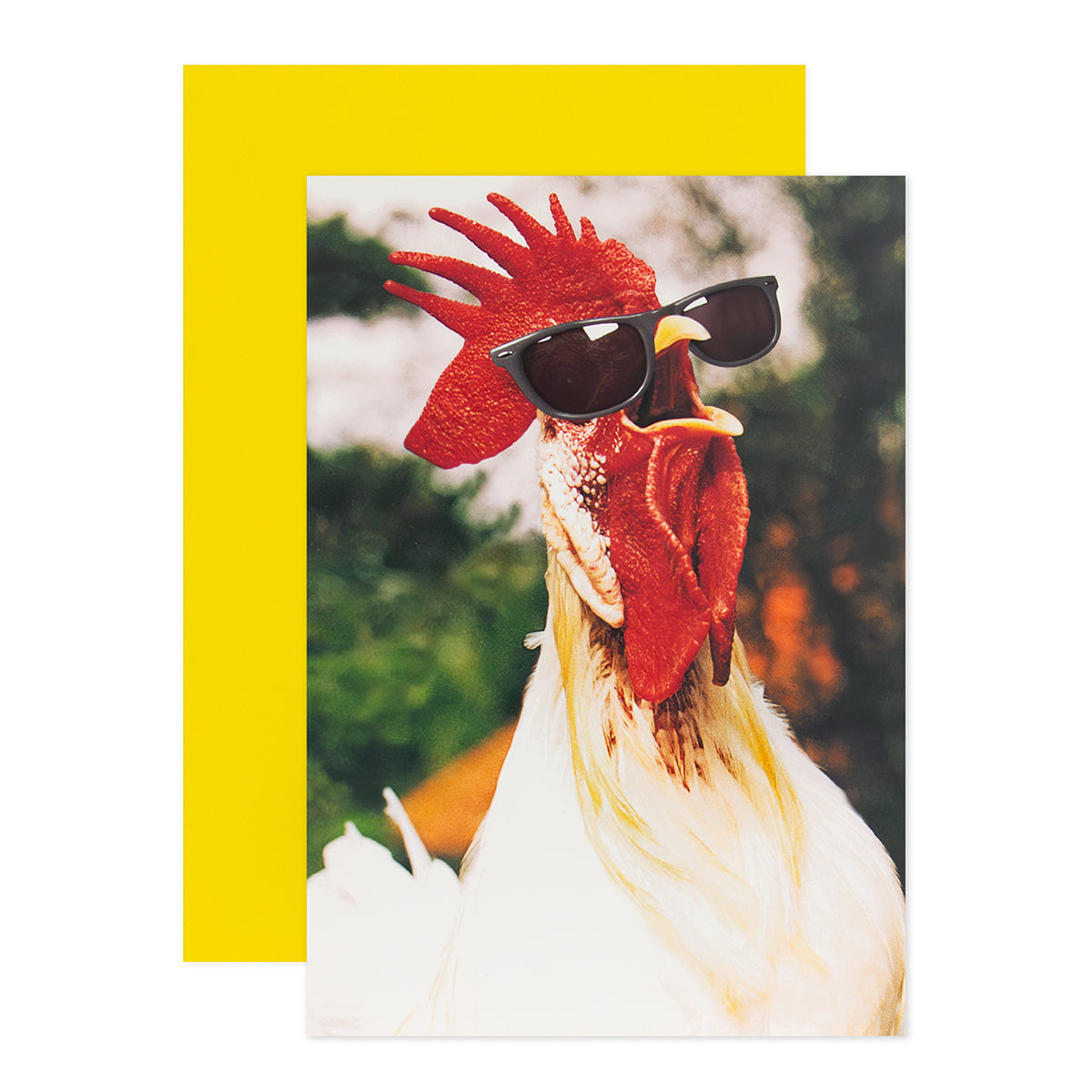 Hallmark Shoebox Birthday Card - Cluckin' Awesome featuring a rooster in sunglasses and a matching yellow envelope.