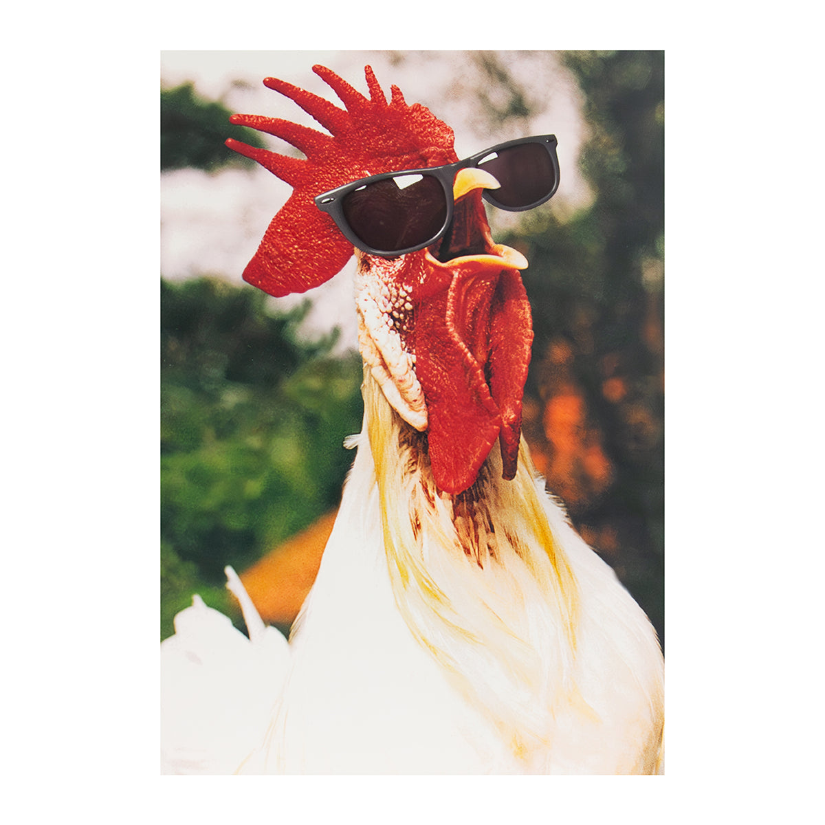 Hallmark Shoebox Birthday Card - Cluckin' Awesome featuring a rooster wearing sunglasses against a natural background.
