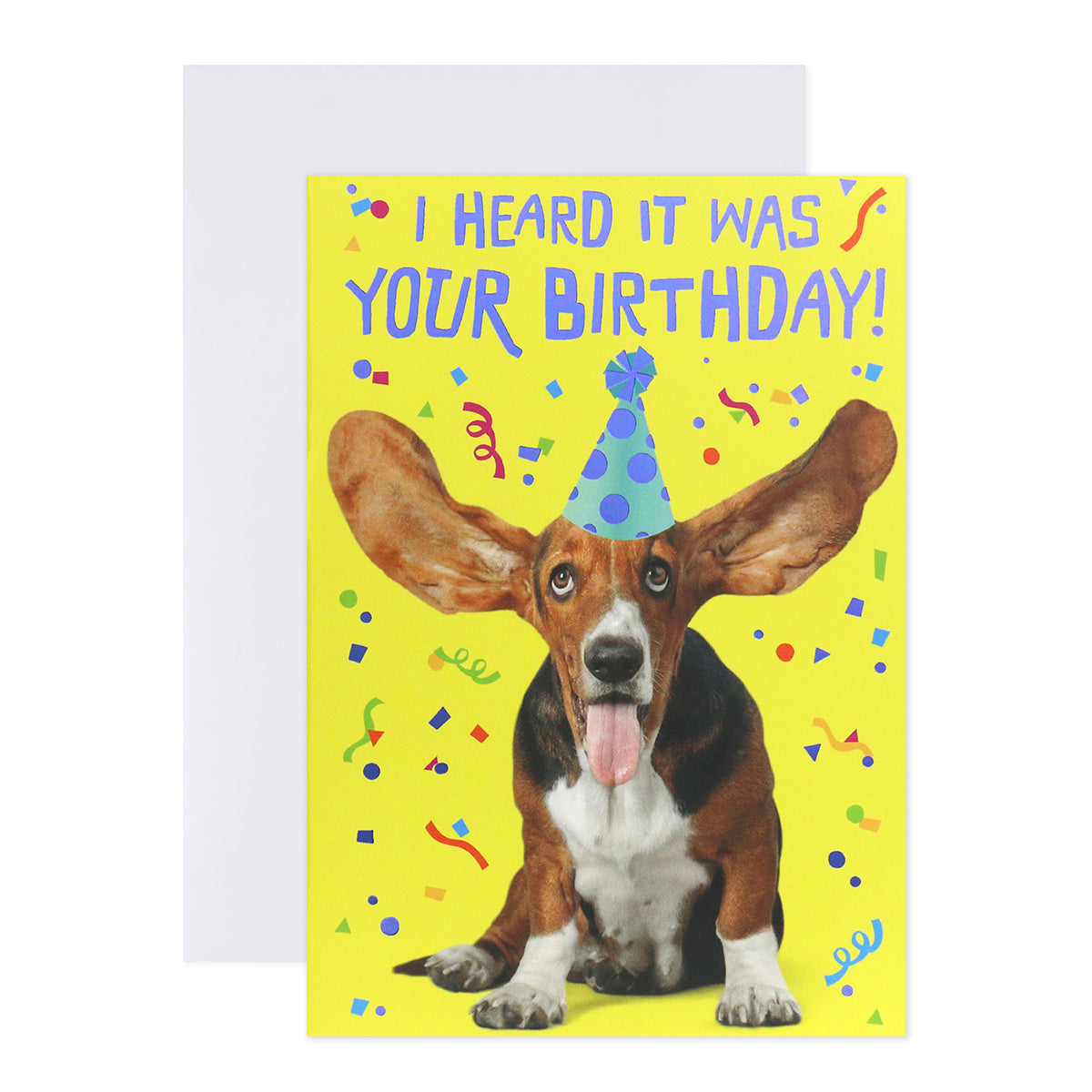 Connections from Hallmark Birthday Card - Basset Hound Party Hat