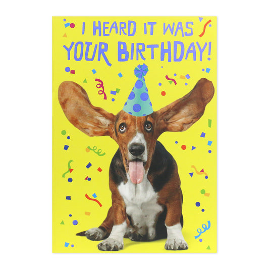 Connections from Hallmark Birthday Card - Basset Hound Party Hat