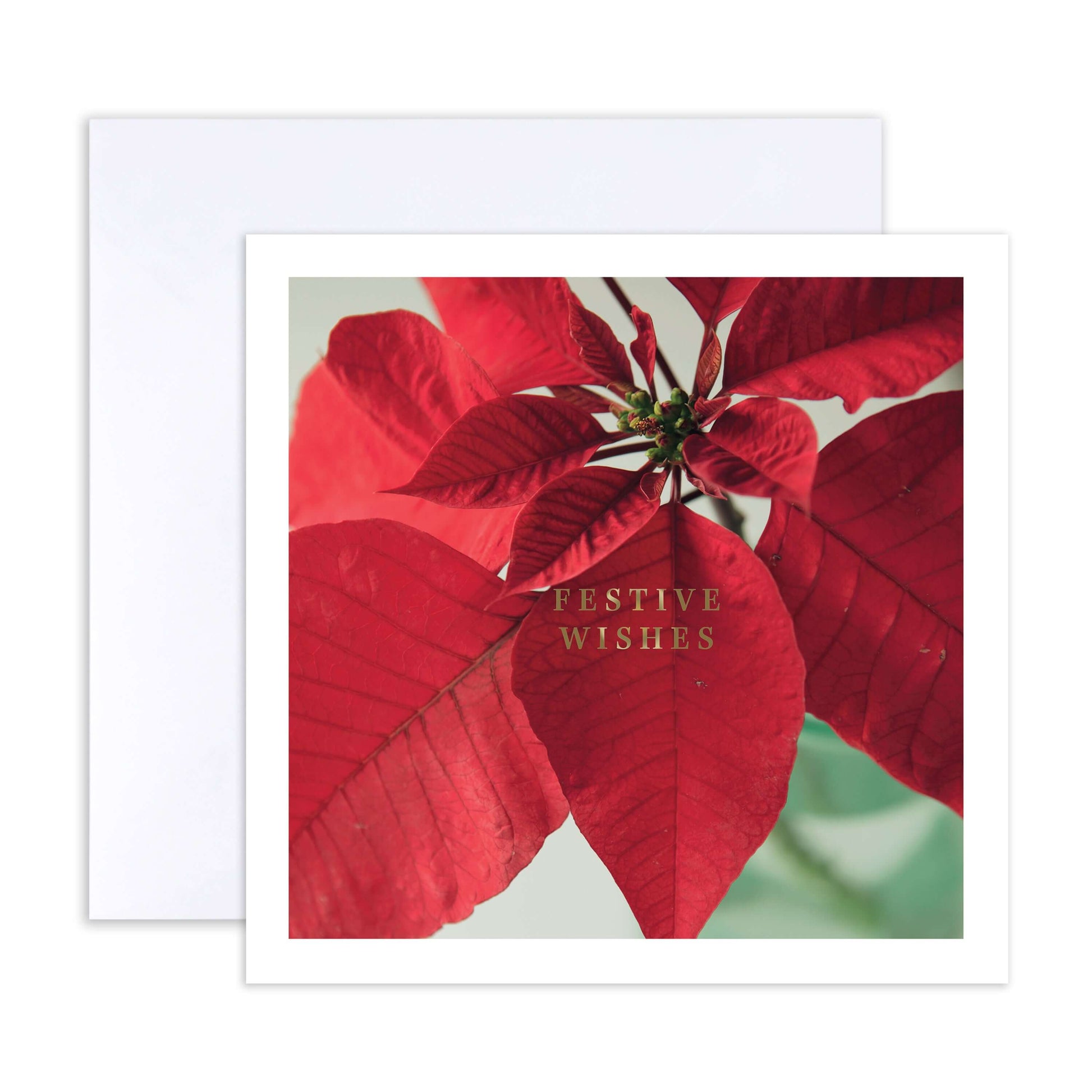 Hallmark Boxed Christmas Cards 10 Pack - Wonderful Time featuring a close up of a red poinsettia with festive wishes in silver foil.